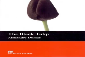 Book cover of The Black Tulip by Alexander Dumas Book cover of The Black Tulip by Alexander Dumas